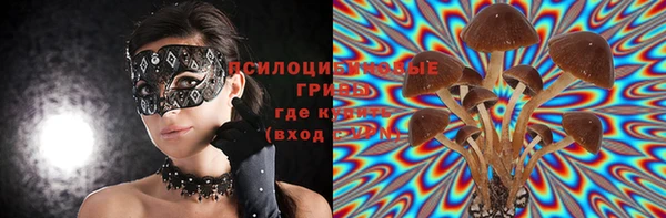 кокс Аркадак