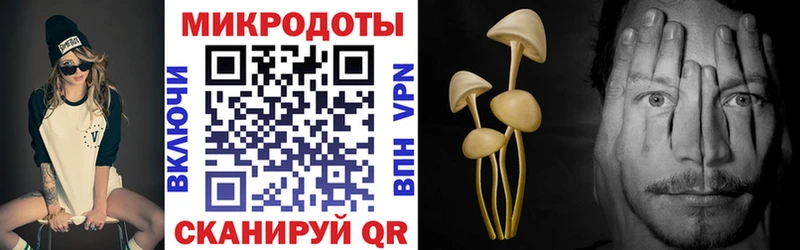 ОМГ ОМГ tor  купить наркоту  даркнет клад  Псилоцибиновые грибы Magic Shrooms  Барыш 